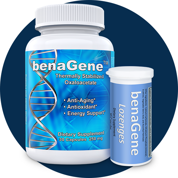 Oxaloacetate Benefits Discovered